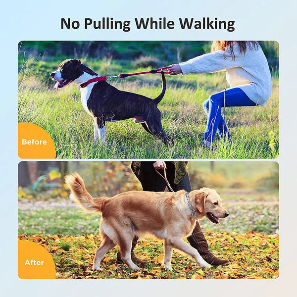 Safe Dog Training Collar pets Retail Bros Wholesale