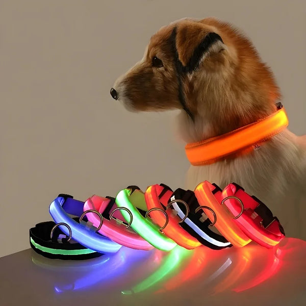 Glow Guard Dog Collar