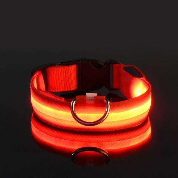 Glow Guard Dog Collar