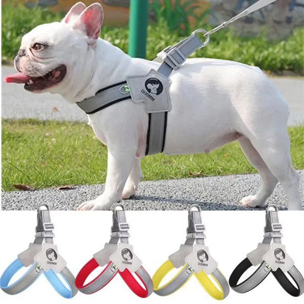 Comfy Control Dog Harness