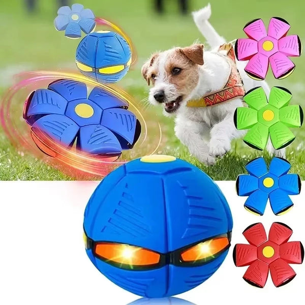 Whirl-o-Fun Dog Disc Toy pets Retail Bros Wholesale